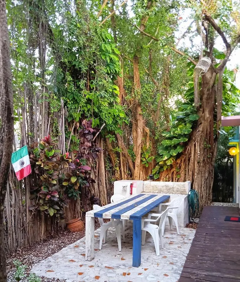 Room In Guest Room - Low Budget Small Room, With Wi-Fi Private Bathroom At Downtown Cancún 0*,  Mexico